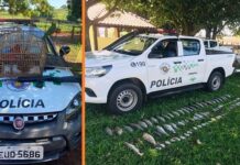 Polícia Ambiental divulga balanço da ‘Operação Dia Mundial da Água’