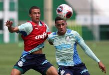 Palmeiras tem dia de treino coletivo de olho nas quartas de final do Paulistão