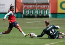 Recuperado de lesão, Marcelo Lomba reforça o Palmeiras nas quartas do Paulistão