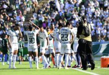 Palmeiras não perde pendurados e tem só dois desfalques certos no mata-mata do Paulistão