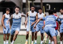 Zanocelo pede afastamento do Santos