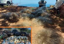 Polícia Ambiental flagra pesca irregular em Riolândia