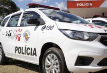 Caminhão carregado com gado tomba em rodovia de General Salgado