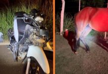 Motociclista fica ferida após colidir contra cavalo em Fernandópolis