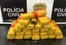Polícia Civil prende dupla com 26 kg de maconha em Jales