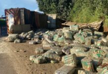 PRF prende três homens por saquear carga em José Bonifácio