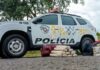 Polícia Rodoviária apreende 37 tijolos de maconha dentro de ônibus