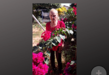 Falece Nelci Gonçalves da Silva, aos 84 anos