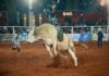 FERNANDÓPOLIS – Rodeio da Expo terá mais de R$ 50 mil em premiação
