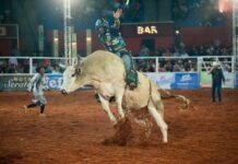 FERNANDÓPOLIS – Rodeio da Expo terá mais de R$ 50 mil em premiação
