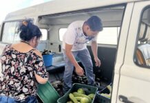 Prefeitura repassa 10 toneladas de alimentos para entidades