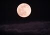 Lua cheia rosa deve aparecer nesta semana