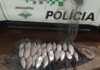 Polícia Ambiental flagra pesca ilegal de 23 kg de peixe no rio São José dos Dourados