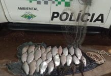 Polícia Ambiental flagra pesca ilegal de 23 kg de peixe no rio São José dos Dourados