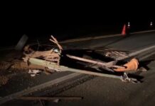 Homem, cavalo e cachorra morrem após caminhão bater em carroça em rodovia de Penápolis