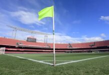 Palmeiras vai jogar sua estreia na Libertadores como mandante no Morumbi