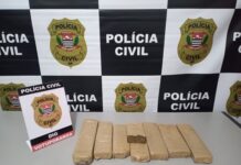 DIG intercepta traficantes e apreende 5 kg de maconha em rodovia