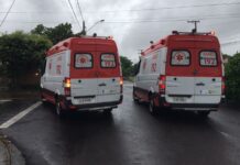 Idoso morre após ser atacado por dois pitbulls em Fernandópolis