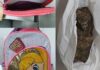 Maconha é encontrada dentro de mochila de bebê em escola municipal em Rio Preto
