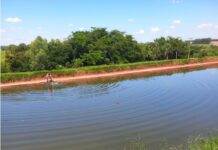 Corpo de homem é encontrado por funcionários em lago de frigorífico