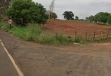 Ossada humana é encontrada em mata na zona rural de Cedral