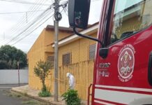 Casal de idosos pula em piscina para escapar de ataque de abelhas em Votuporanga