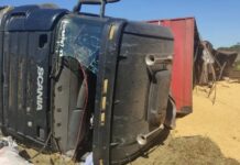 Ciclistas ficam feridos ao serem atingidos por carga de caminhão que tombou em rodovia de Guapiaçu