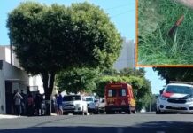 Homem é morto a facadas dentro de imóvel após discussão em Araçatuba