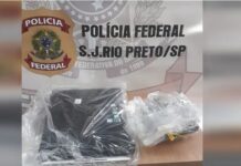 Homem é preso em operação da Polícia Federal contra pornografia infantil