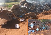 Chandelly flagra descarte de lixo em reserva ambiental de Votuporanga