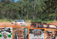 Polícia Ambiental divulga resultado da operação Curumim em Votuporanga e região
