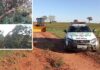 Fazendeiro derruba oito árvores com pá carregadeira e é multado