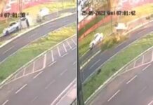 Cachorro atravessa avenida correndo e provoca capotamento em Catanduva