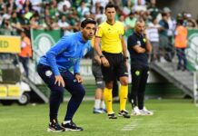 Abel Ferreira, do Palmeiras, é absolvido em julgamento por expulsão contra o Cuiabá