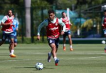 Palmeiras volta aos treinos e inicia preparação para clássico contra o Santos
