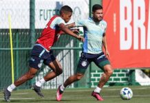 Palmeiras se reapresenta após Dérbi e muda foco para Libertadores