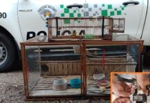 Polícia Ambiental flagra irregularidades durante operação em Votuporanga