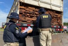 Operação da PRF apreende carga de madeira ilegal na BR-153