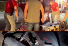 Votuporanguenses ficam feridos em acidente na Rodovia Euclides da Cunha