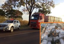 Motorista é preso com mais de duas toneladas de maconha em caminhão em rodovia de Nhandeara