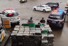 Operação policial apreende mais de 5 toneladas de maconha em Estrela do Norte