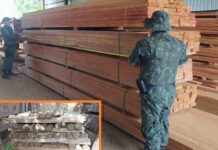 Polícia Ambiental fiscaliza pátios madeireiros de Votuporanga e região