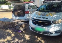 Homem é preso com quase 800 kg de maconha após caminhonete capotar na região