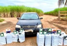 PF de Jales localiza produtos eletrônicos furtados em outro Estado