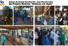 Alunos da Escola Estadual Dr. José Manoel Lobo visitam haras em projeto de eletivas
