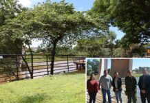 Febre maculosa: reunião discute medidas a serem implantadas no Parque da Cultura