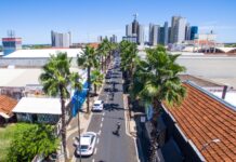 Prefeitura realiza poda de manutenção nas palmeiras da Rua Amazonas neste domingo