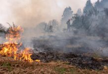 Governo de SP alerta para riscos respiratórios durante período de queimadas