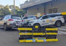 Adolescente é apreendido com 260 tijolos de maconha em rodovia de Penápolis