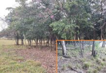 Polícia Ambiental autua sitiante em R$ 124 mil por degradação ambiental